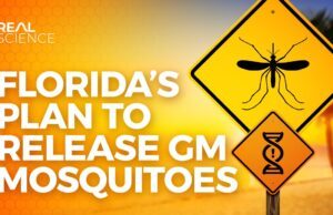 Το μεταλλαγμένο Κουνούπι απελευθερώθηκε. Πως λειτουργεί; 2) 20 μεταλλάξεις του Ιού χωρίς να περάσει από ζώα. Συν 2 νέες. 3) Οι επόμενες 2 κρίσεις. Μπιλ Γκέιτς