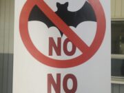 ΔΕΝ προήλθε από τις νυχτερίδες: Ο Π.Ο.Υ. επιβεβαιώνει το …7βιο φόρουμ! Από που προήλθε o Covid-19?