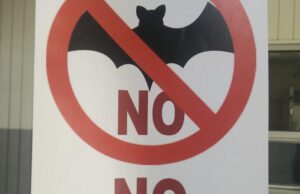 ΔΕΝ προήλθε από τις νυχτερίδες: Ο Π.Ο.Υ. επιβεβαιώνει το …7βιο φόρουμ! Από που προήλθε o Covid-19?