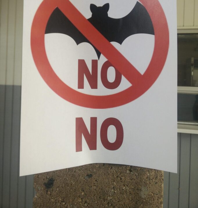 ΔΕΝ προήλθε από τις νυχτερίδες: Ο Π.Ο.Υ. επιβεβαιώνει το …7βιο φόρουμ! Από που προήλθε o Covid-19?