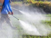 Να σταματήσει τώρα η παράνομη ζιζανιοκτονία! Καταγγελία