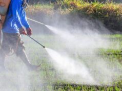 Να σταματήσει τώρα η παράνομη ζιζανιοκτονία! Καταγγελία