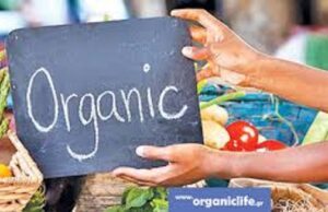 Αναστολή άδειας & μεγάλα πρόστιμα σε 4 οργανισμούς πιστοποίησης βιολογικών προϊόντων (Σκάνδαλο ΟΠΕΚΕΠΕ)