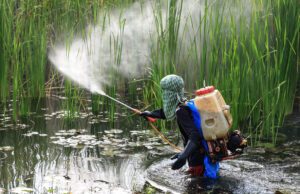 Δύο μεγάλα “χαστούκια” στη Γλυφοσάτη. Μια νομική και μια επιστημονική ήττα για το δημοφιλές ζιζανιοκτόνο